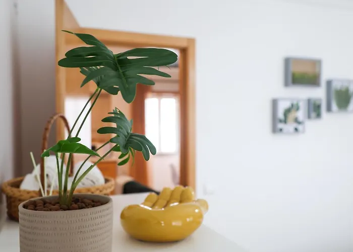 Manelmar Назаре